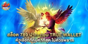 สล็อต 789 ฝาก-ถอน true wallet ตัวเลือกที่คุ้มค่าที่สุด ไม่ควรพลาด