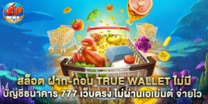 80.สล็อต-ฝาก-ถอน-true-wallet-ไม่มี-บัญชีธนาคาร-777-เว็บตรง-ไม่ผ่านเอเย่นต์-จ่ายไว
