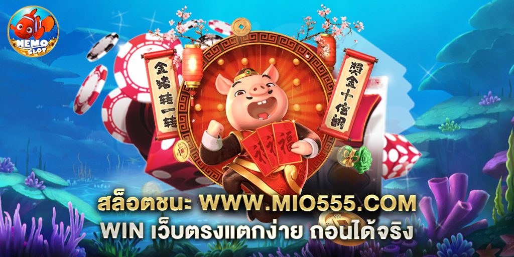สล็อตชนะ-www.mio555.com-win-เว็บตรงแตกง่าย-ถอนได้จริง